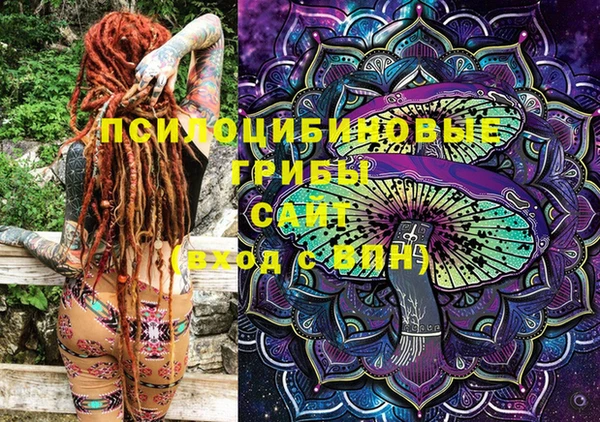 дмт Нягань