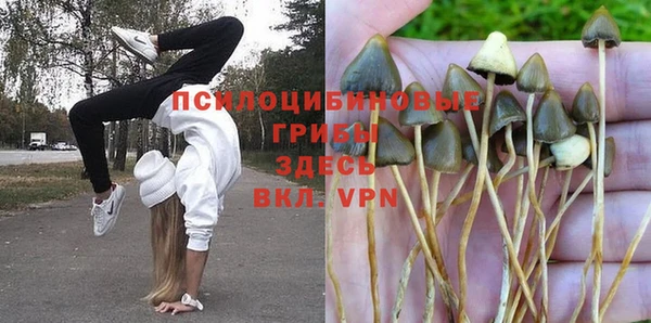 стаф Алексеевка
