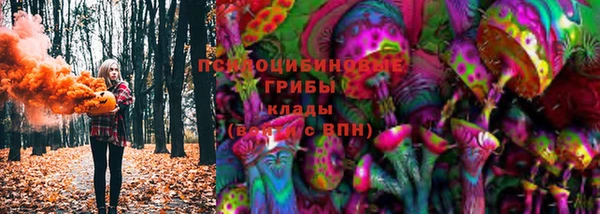 дмт Нягань